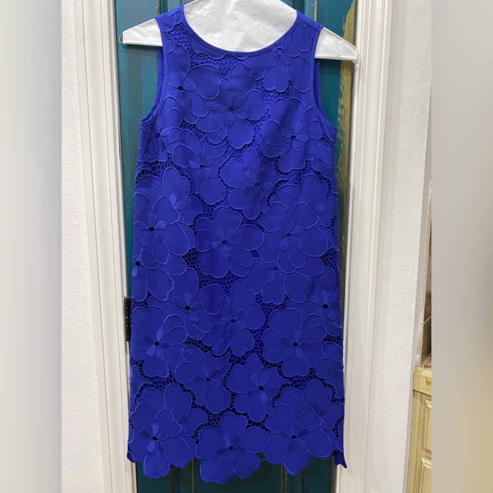 Blue Antonio Melani Dress